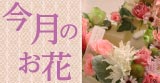 Τ